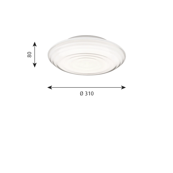 Ripls dimensions