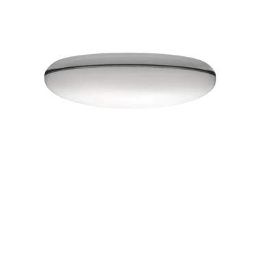 Silverback Ceiling/Wall Lamp