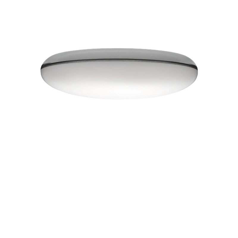Silverback Ceiling/Wall Lamp