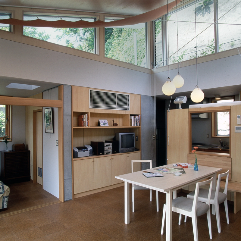 Moser Pendant