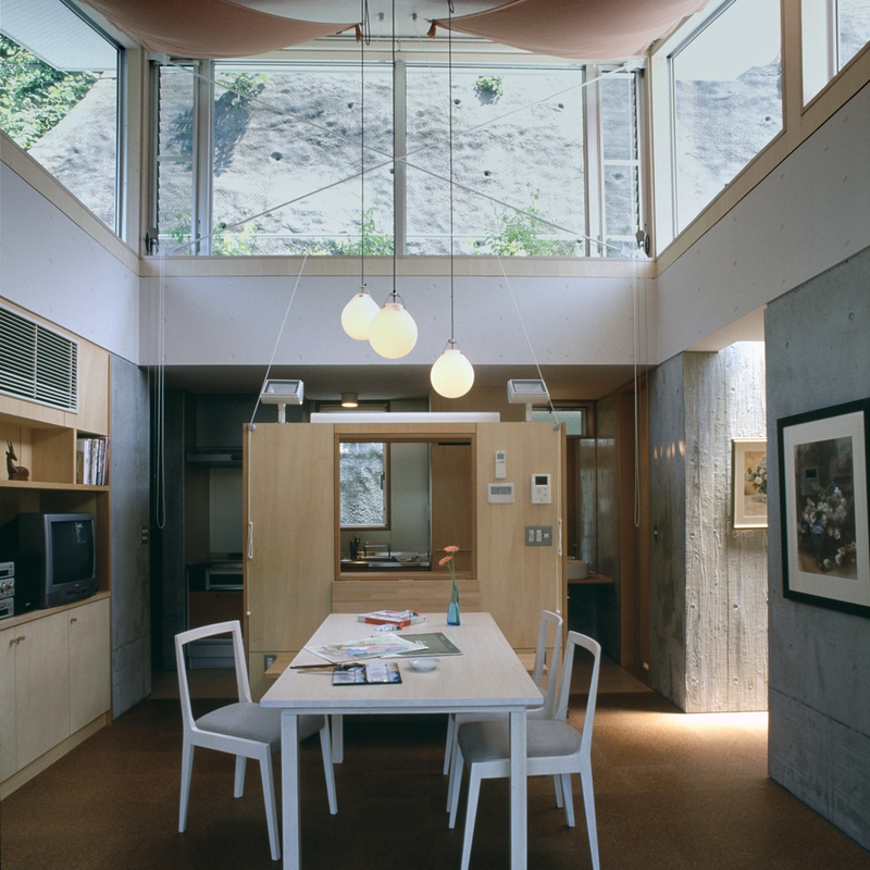 Moser Pendant
