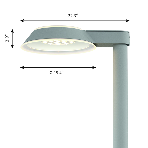 Homann Park dimensions