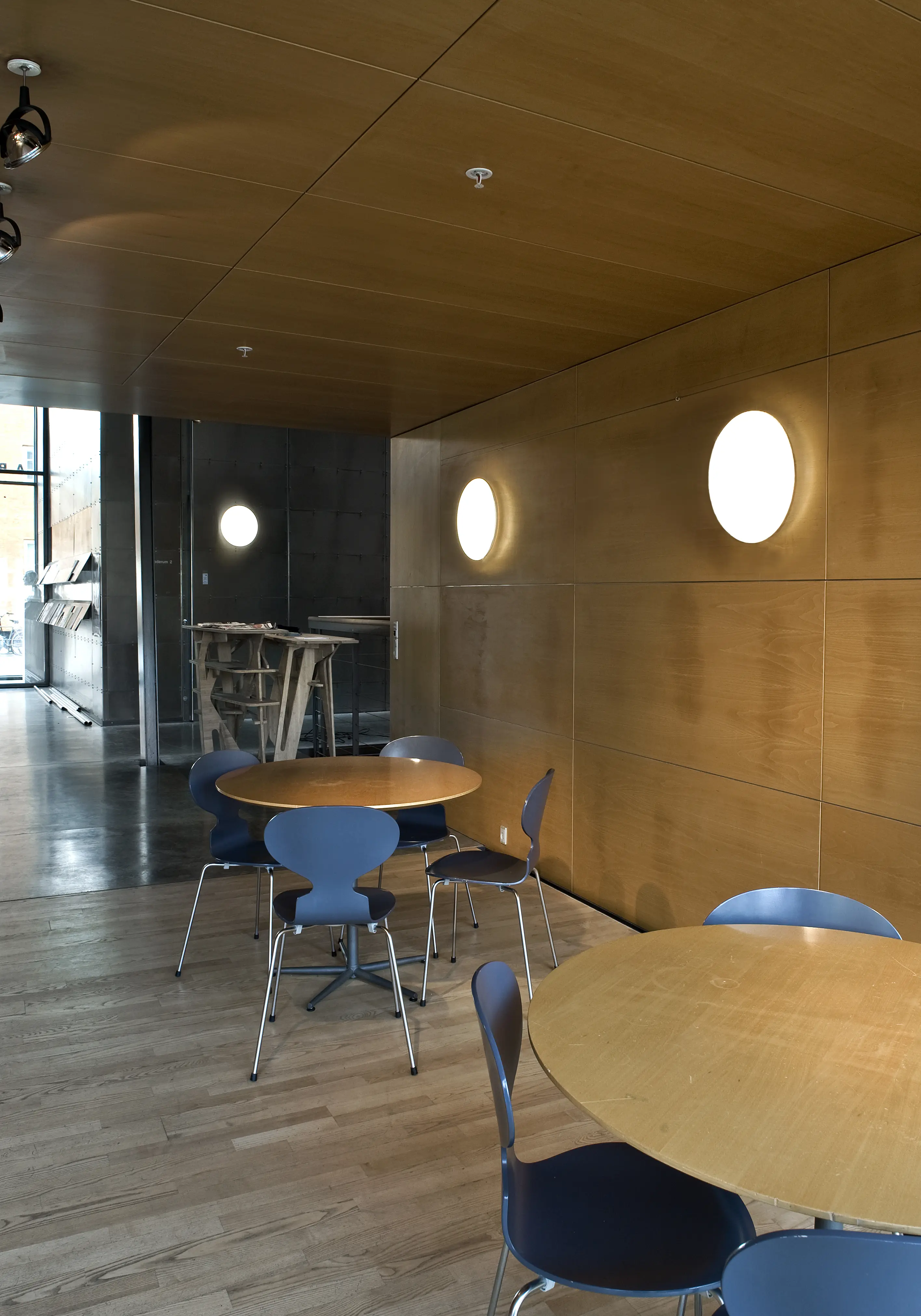 Silverback Ceiling/Wall Lamp