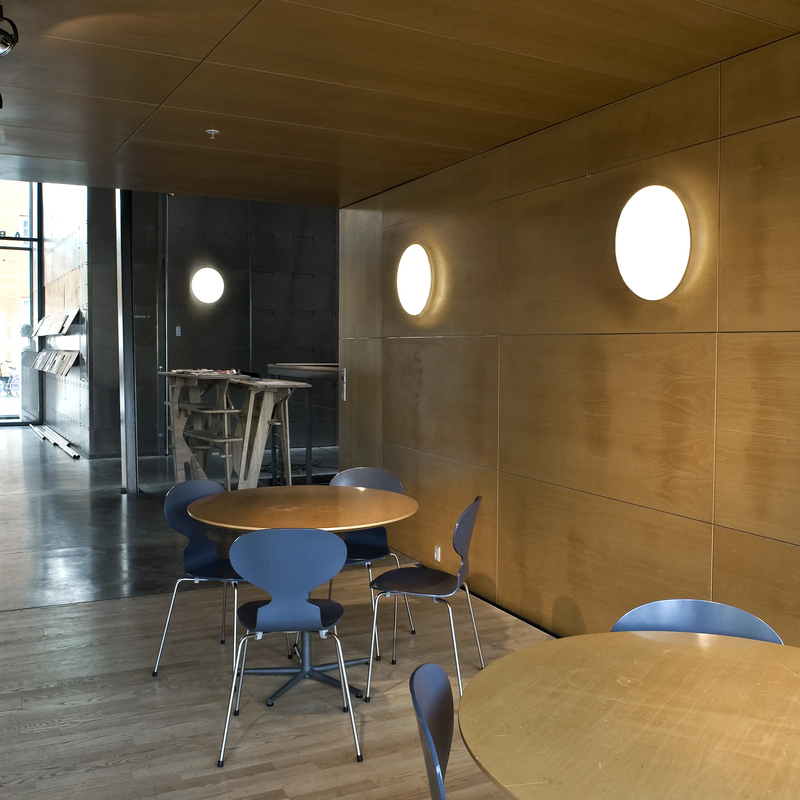 Silverback Ceiling/Wall Lamp