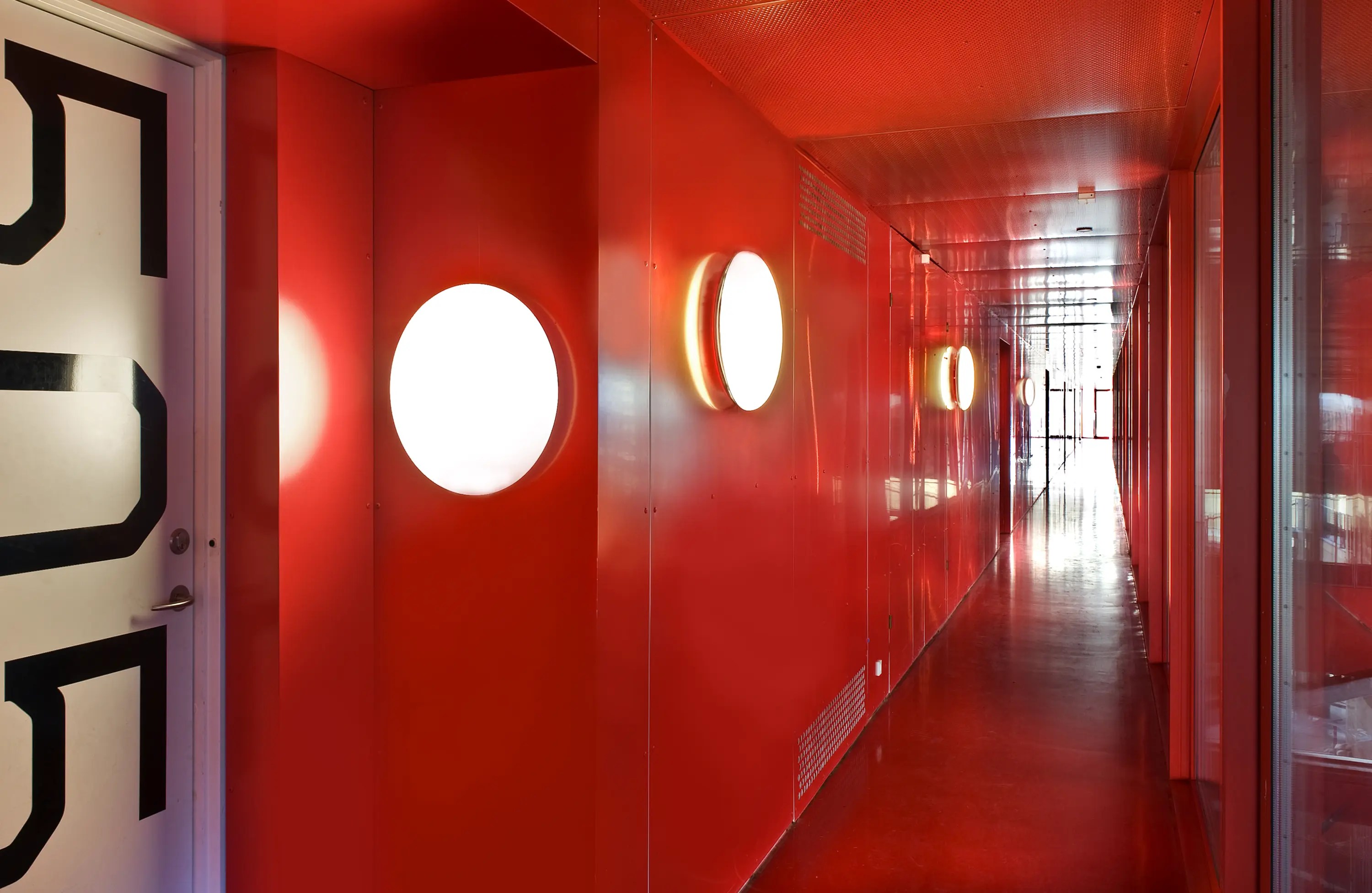 Silverback Ceiling/Wall Lamp