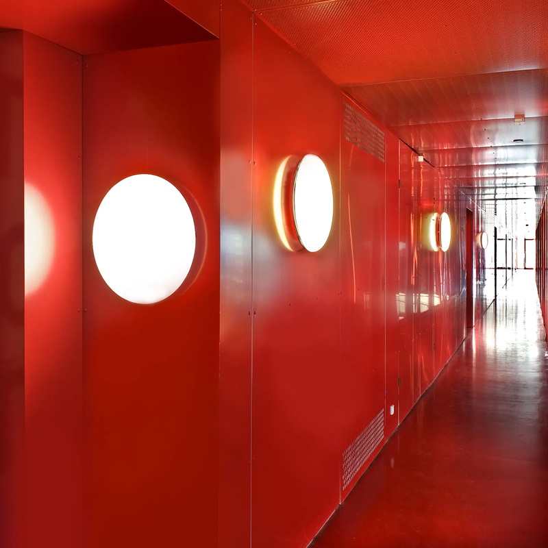 Silverback Ceiling/Wall Lamp