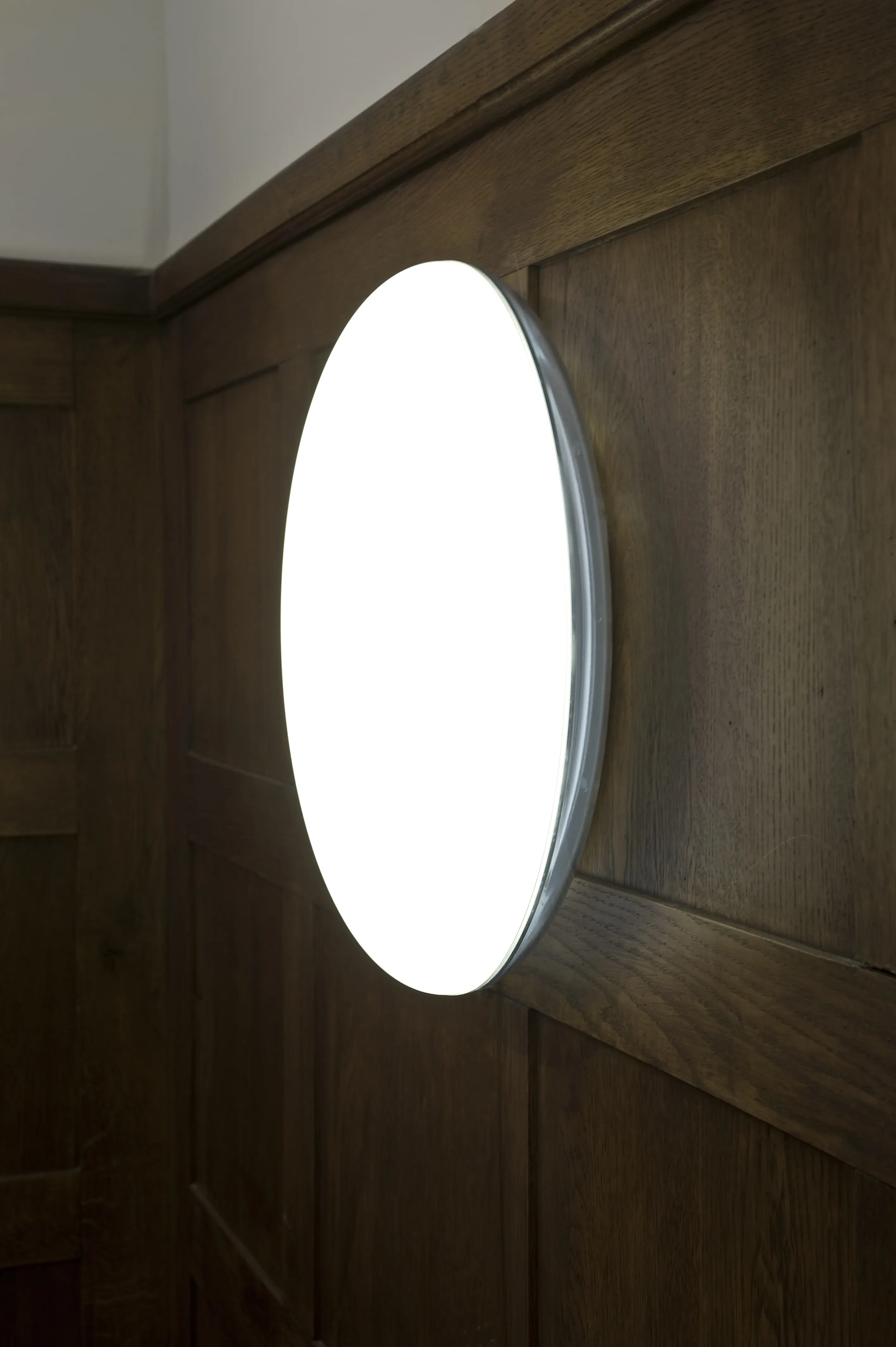 Silverback Ceiling/Wall Lamp