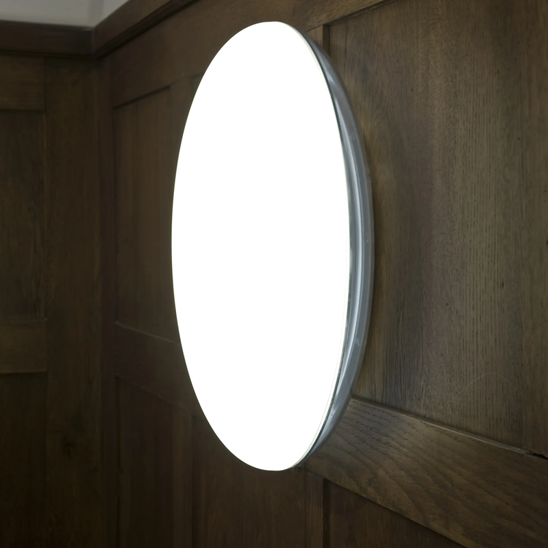Silverback Ceiling/Wall Lamp