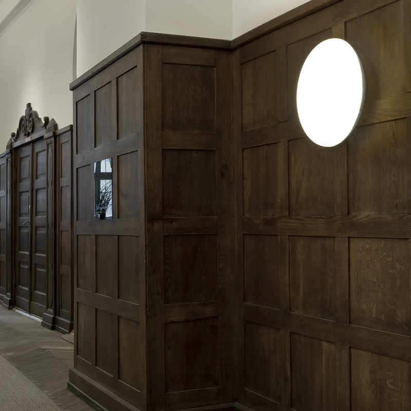 Silverback Ceiling/Wall Lamp