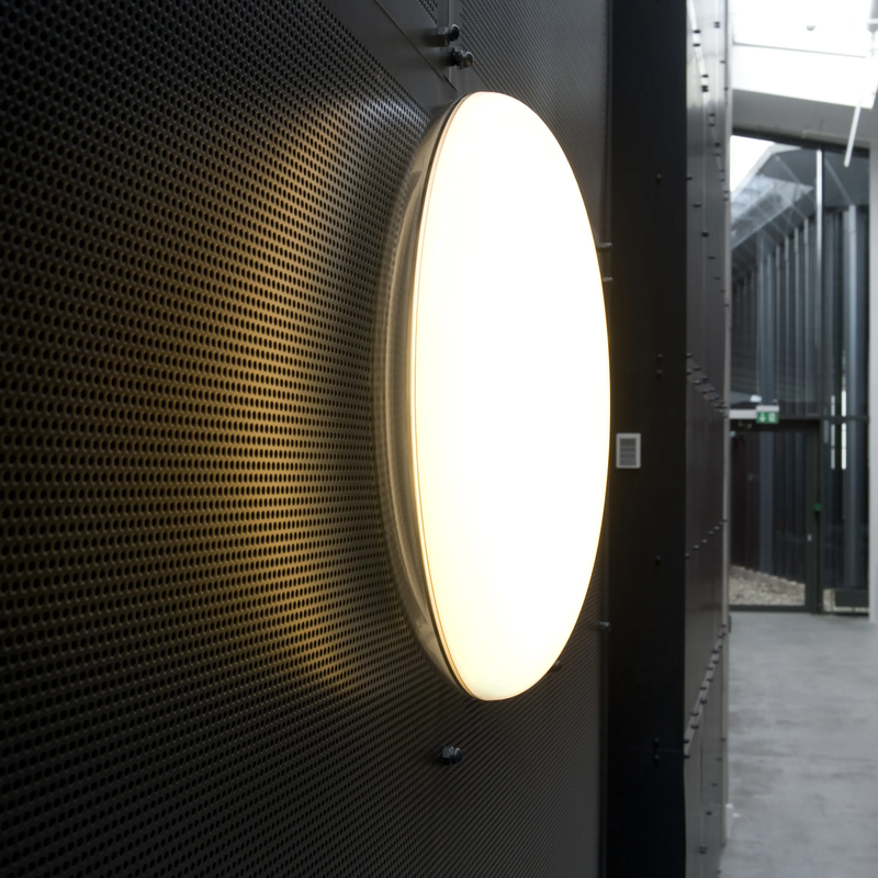 Silverback Ceiling/Wall Lamp