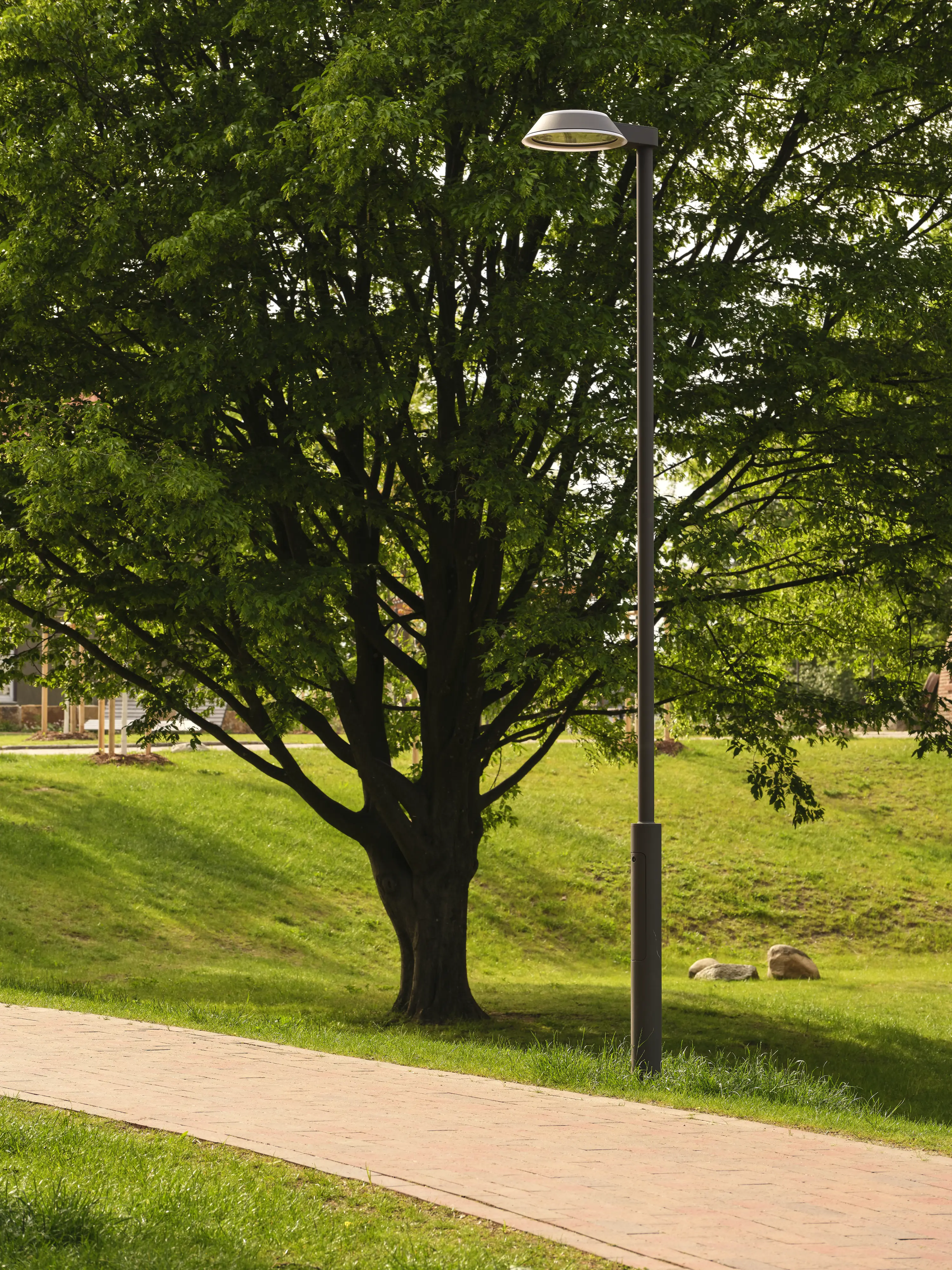 Homann Park