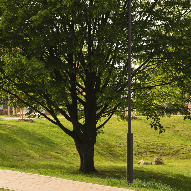 Homann Park