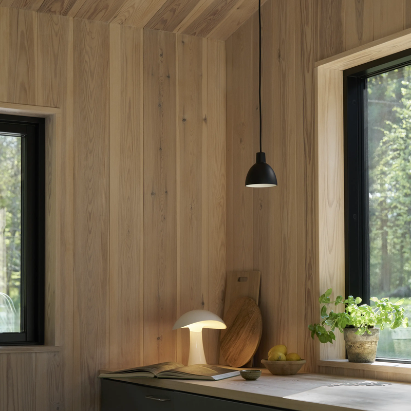 Rumee 220 Portable Lamp