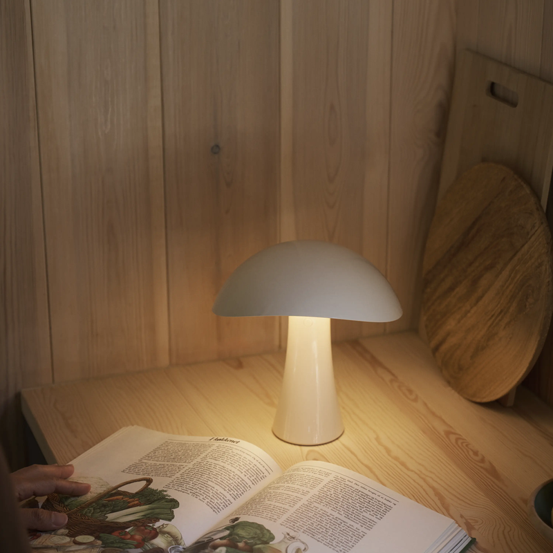 Rumee 220 Portable Lamp