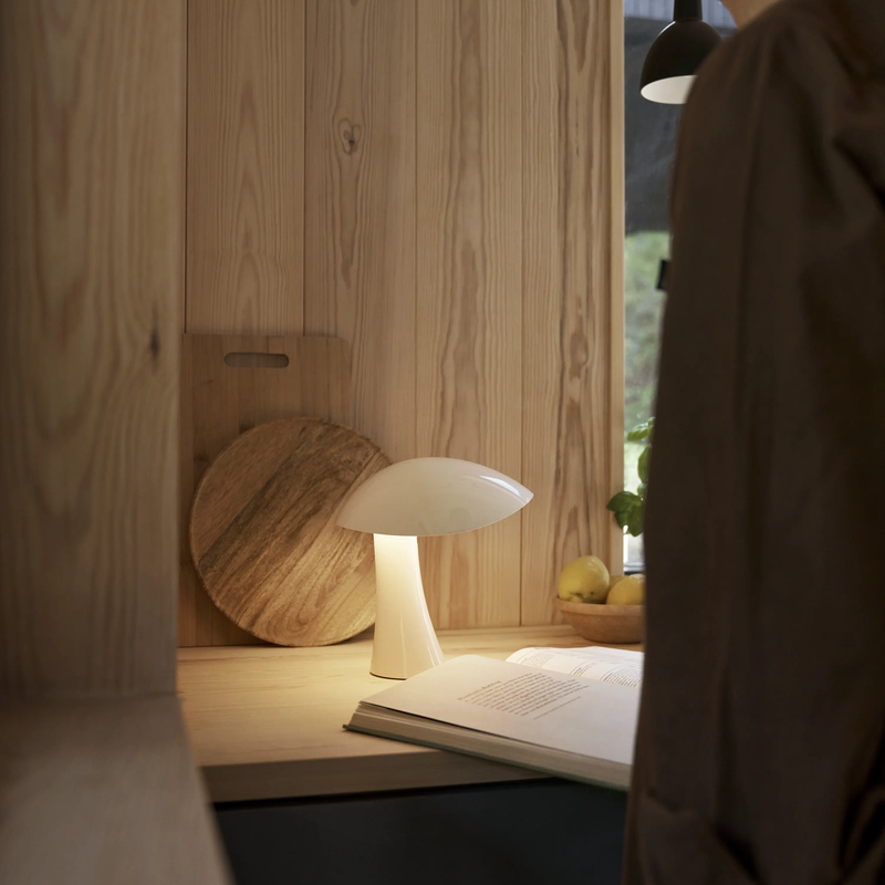 Rumee 220 Portable Lamp