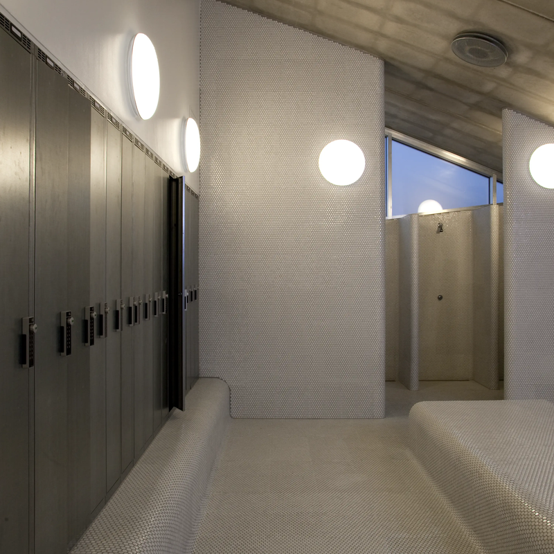 Silverback Ceiling/Wall Lamp